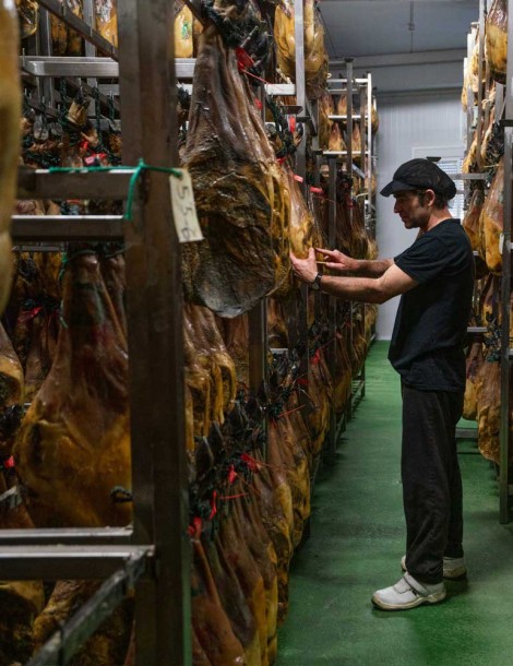 JAMÓN DE CEBO IBÉRICO 50% R.I. DESHUESADO