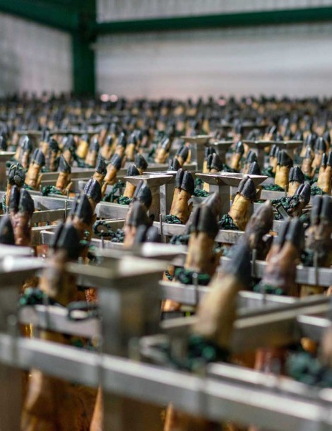 JAMÓN DE BELLOTA IBÉRICO 50% R.I. DESHUESADO