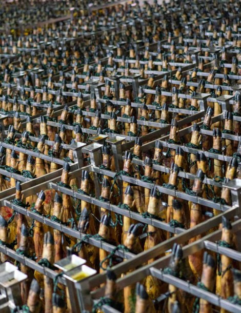 JAMÓN DE CEBO IBÉRICO 50% R.I. LONCHEADO