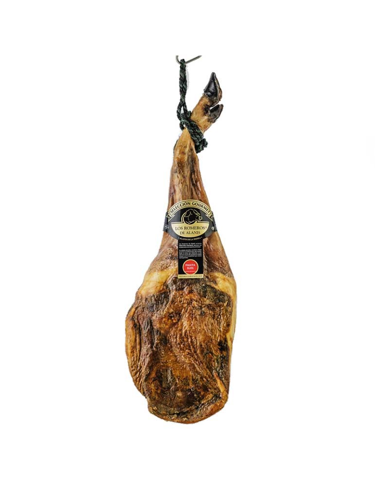 PALETA CURADA ELITE