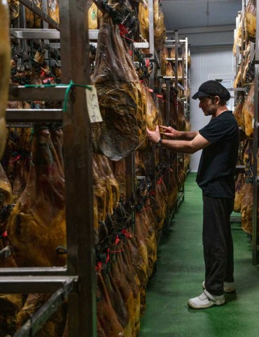 JAMÓN DE BELLOTA IBERICO 50% R.I.